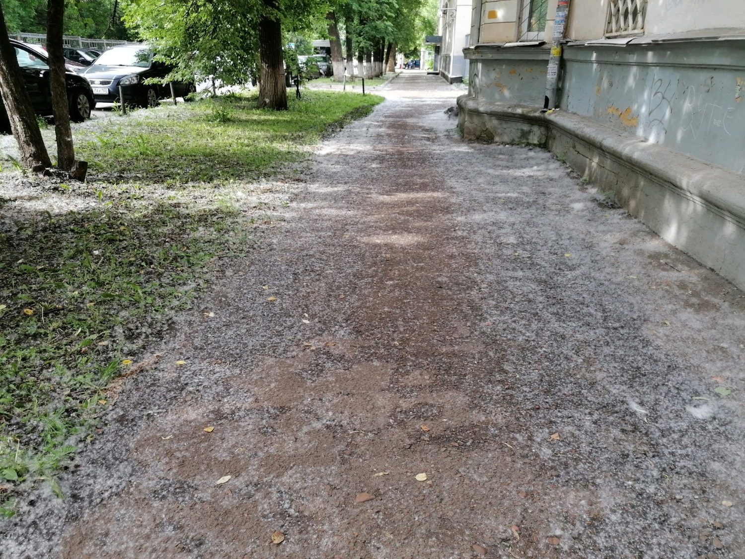 ИА «Башинформ»