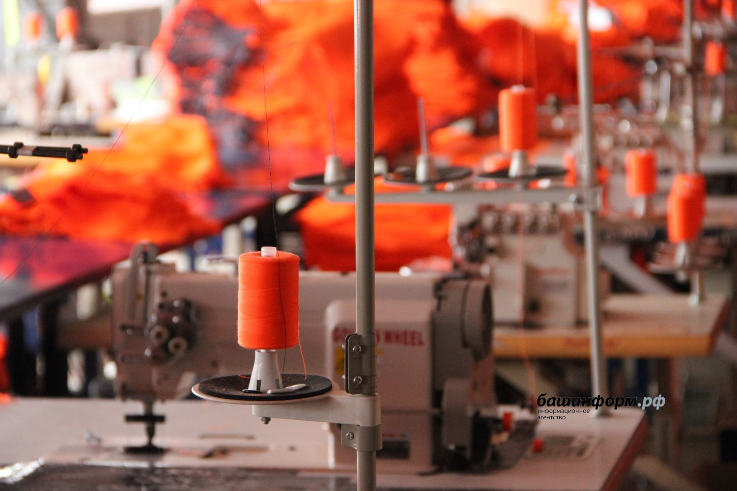 Ксения Калинина