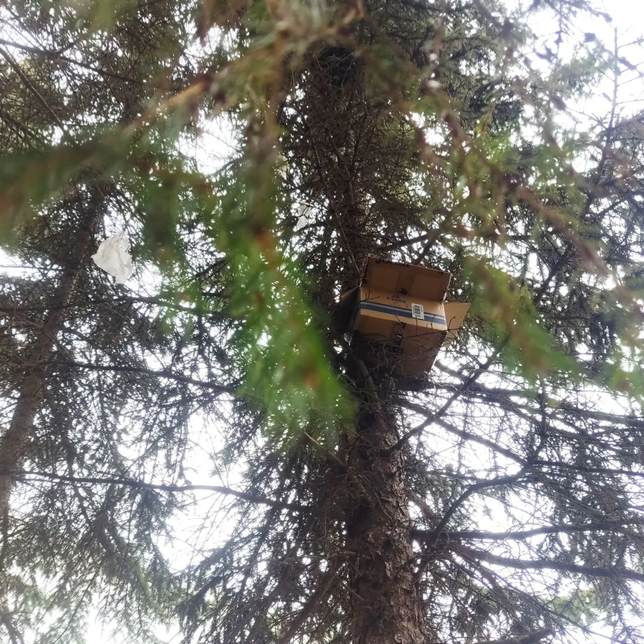 ЦРДЖ «Пин и Пуф»