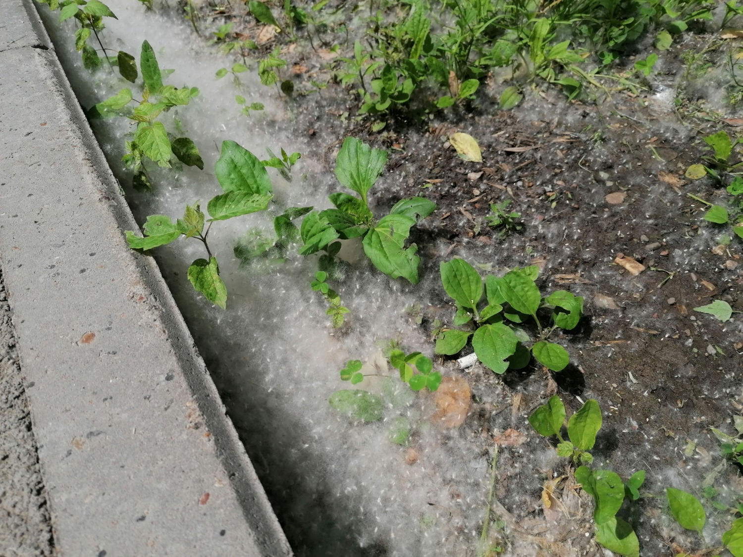 ИА «Башинформ»