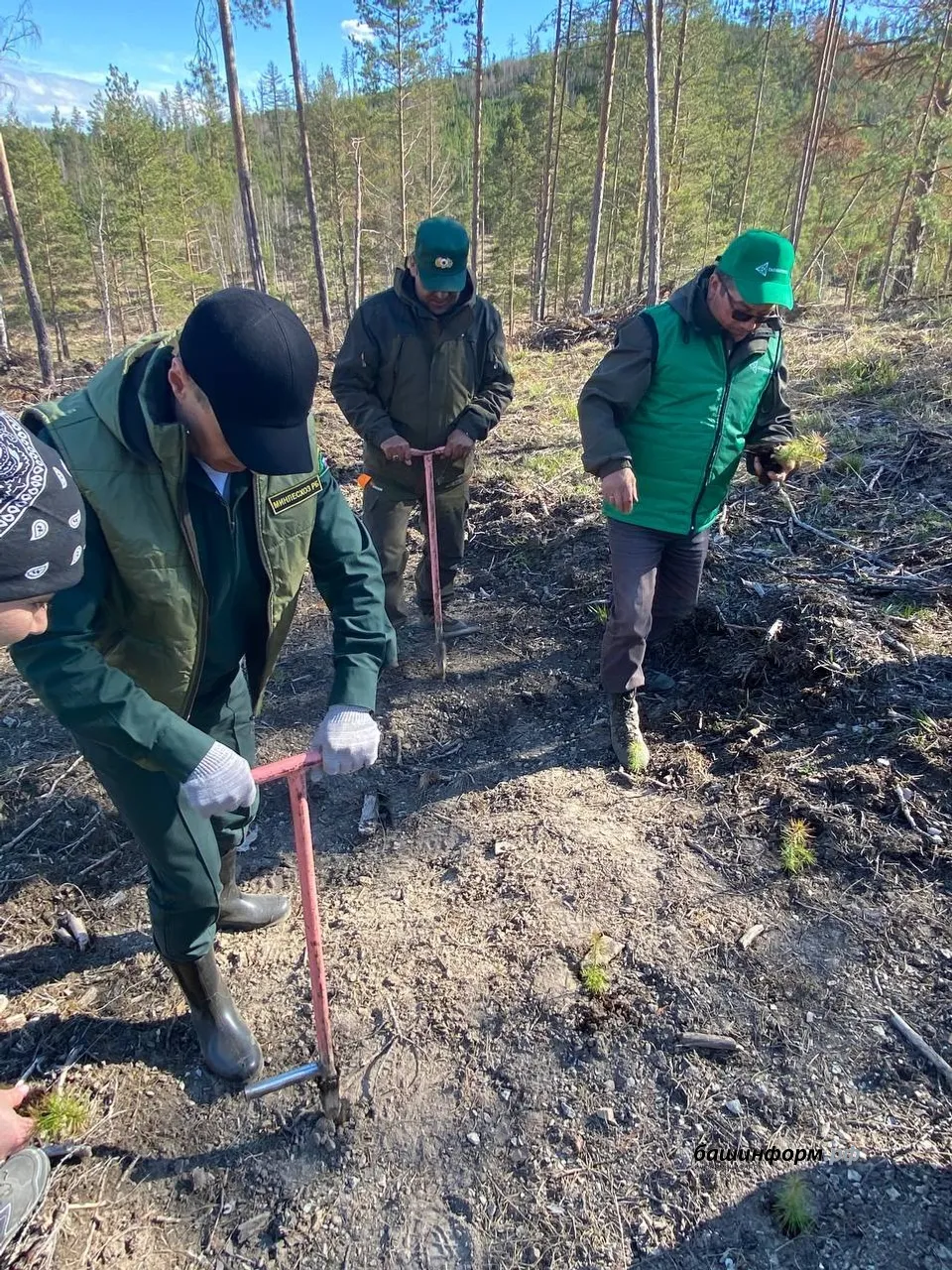 Инсаф Хужабирганов ИА «Башинформ»