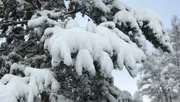 Ксения Калинина