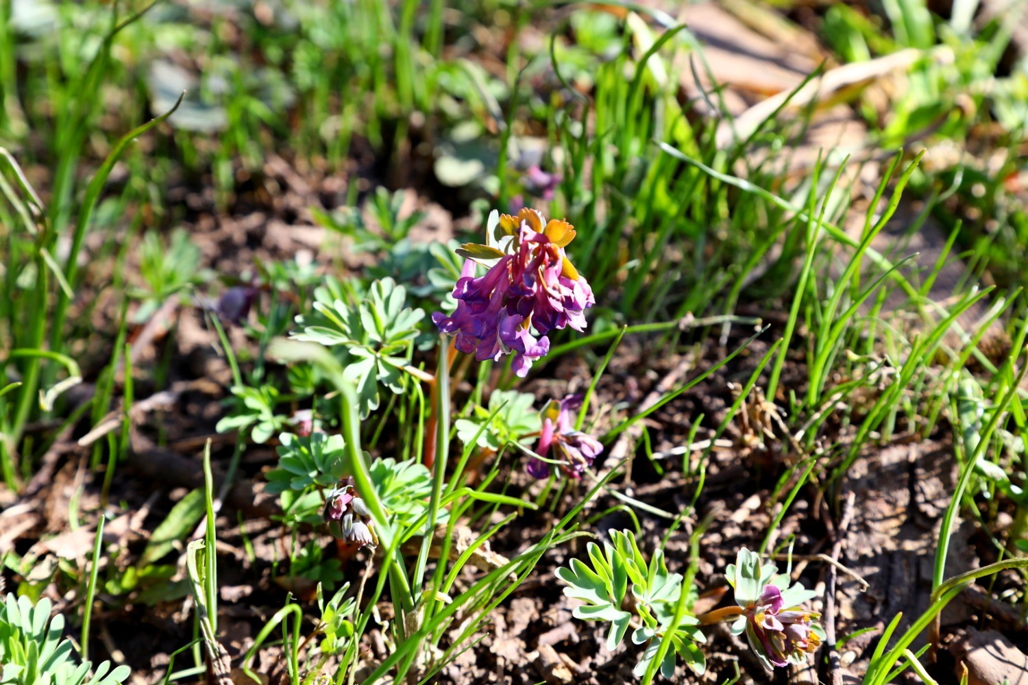 Валерий Шахов ИА «Башинформ»