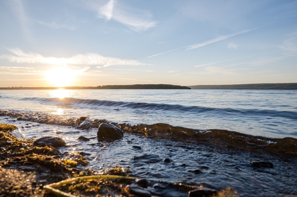 Дирекция по ООПТ РБ Кандрыкуль