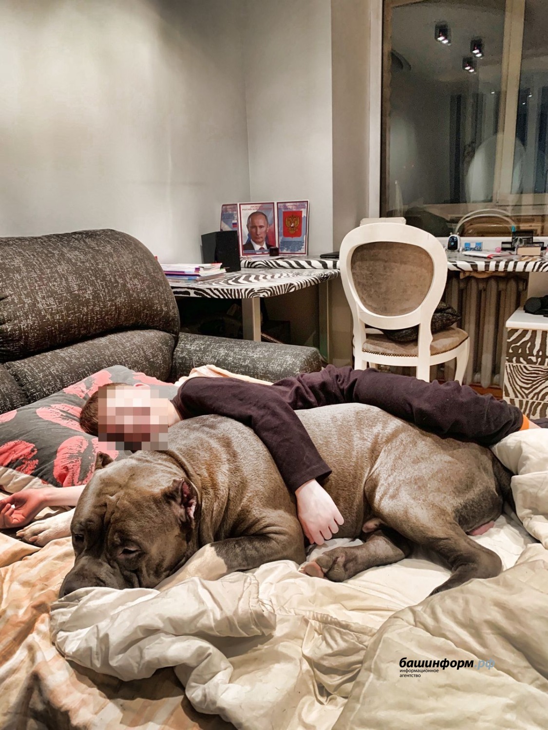 предоставлено Марией