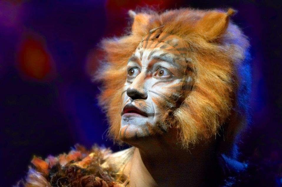 «Cats» - «Кошки»