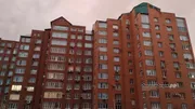 Элина Ахметова Башинформ