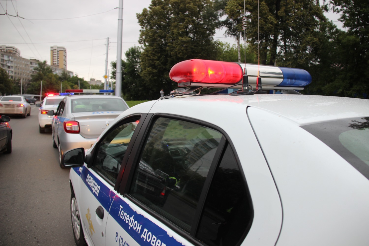 Ксения Калинина