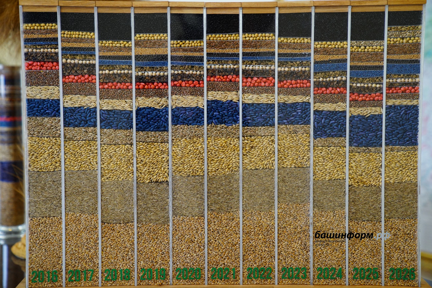 Олег Яровиков ИА «Башинформ»