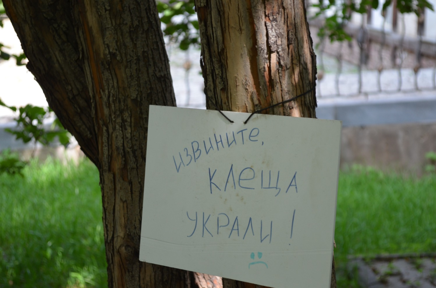 Ксения Калинина