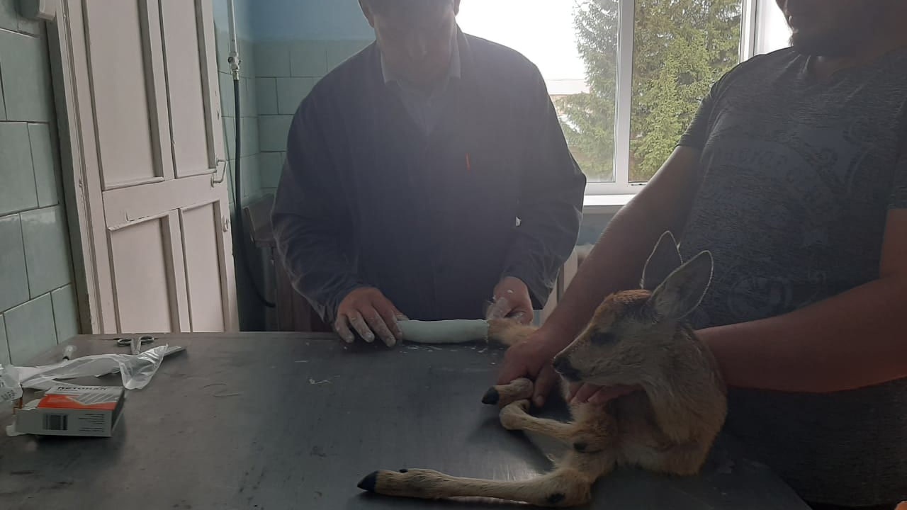 Фото: На земле Салавата