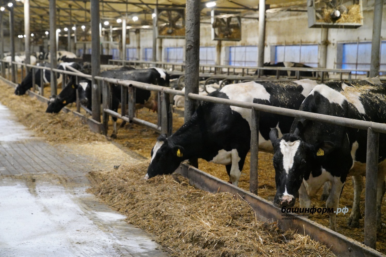 Олег Яровиков архив ИА "Башинформ"