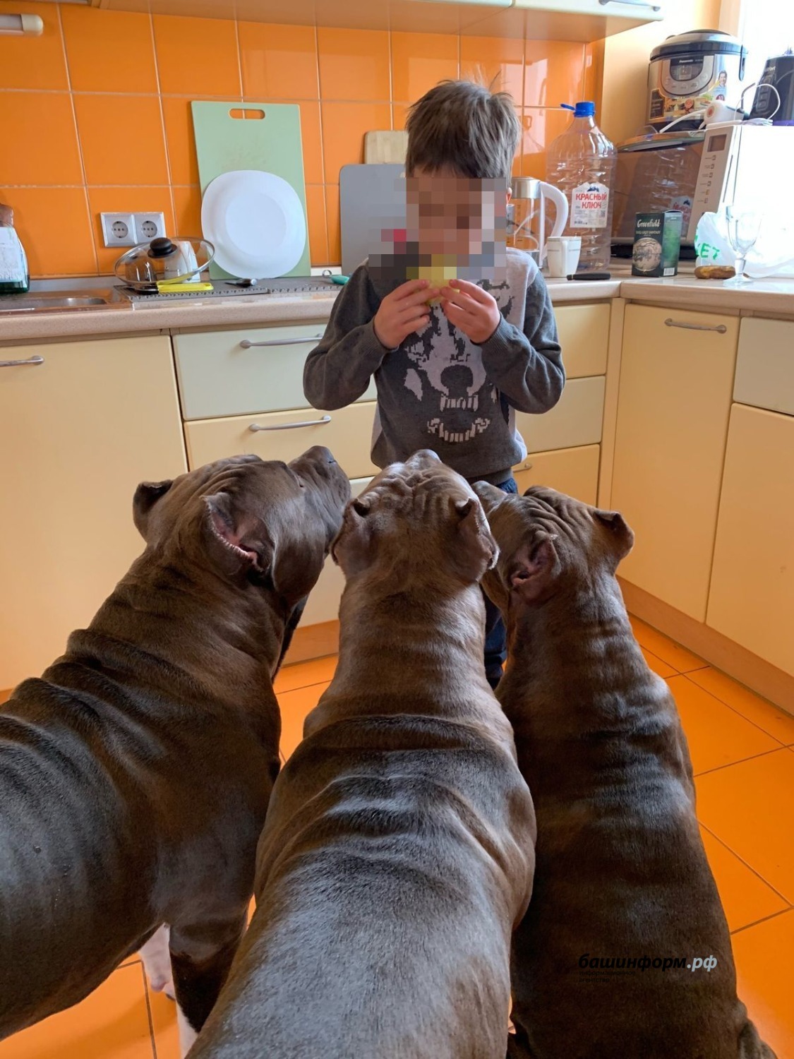 предоставлено Марией