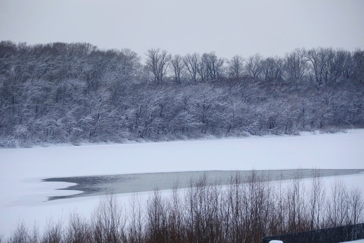 Валерий Шахов  Лариса Еремеева рассказала, что воду для катка брали не из Белой, а ее дал «Уфаводоканал»