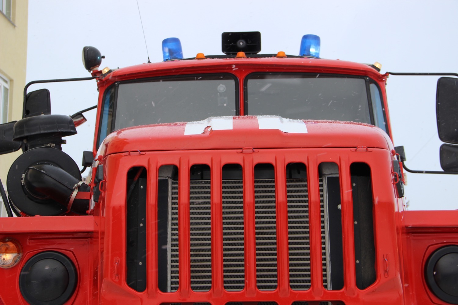 Ксения Калинина