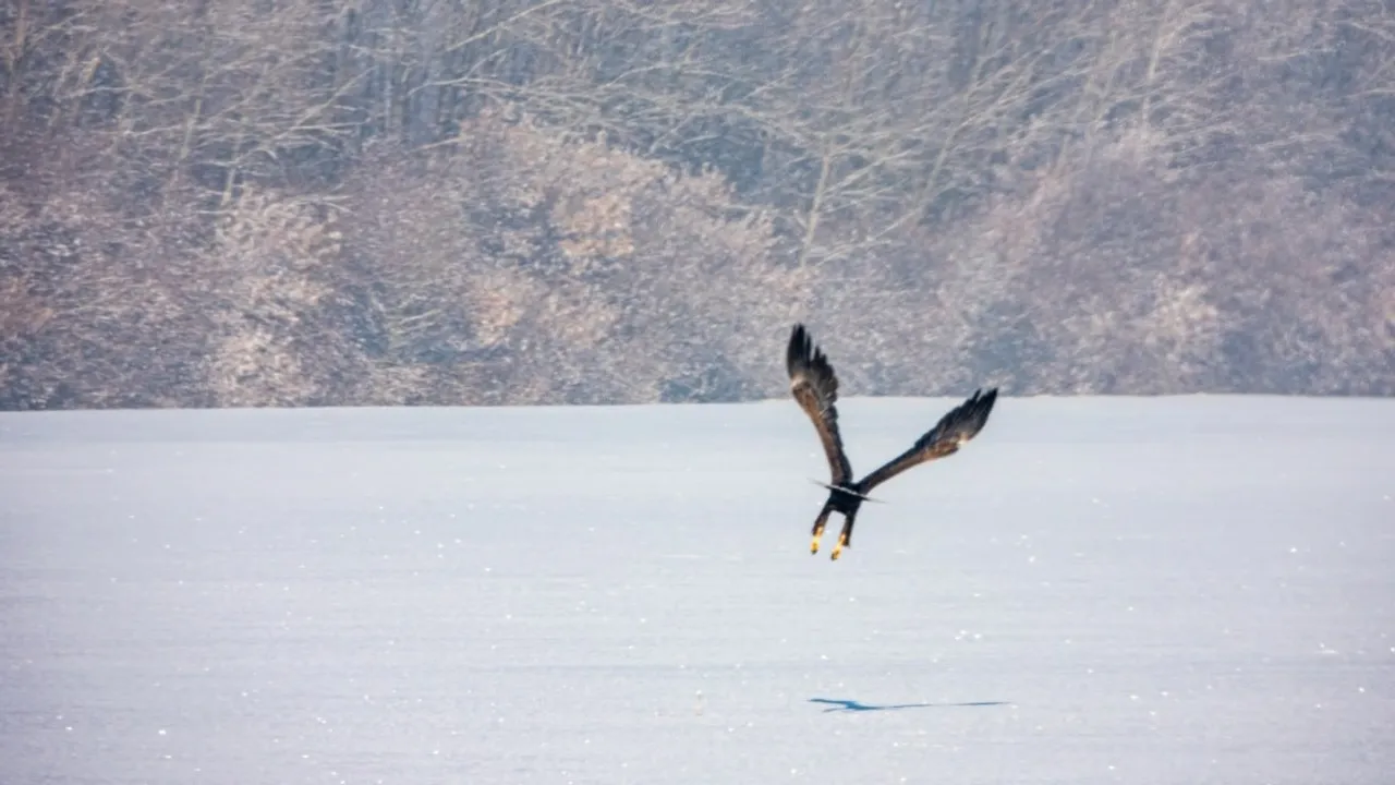 Рамиль Хамитов, телеграм-канал нацпарка «Башкирия»