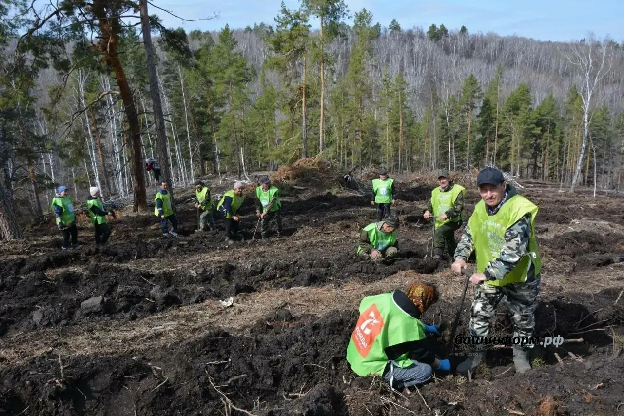 соцсети Радия Хабирова