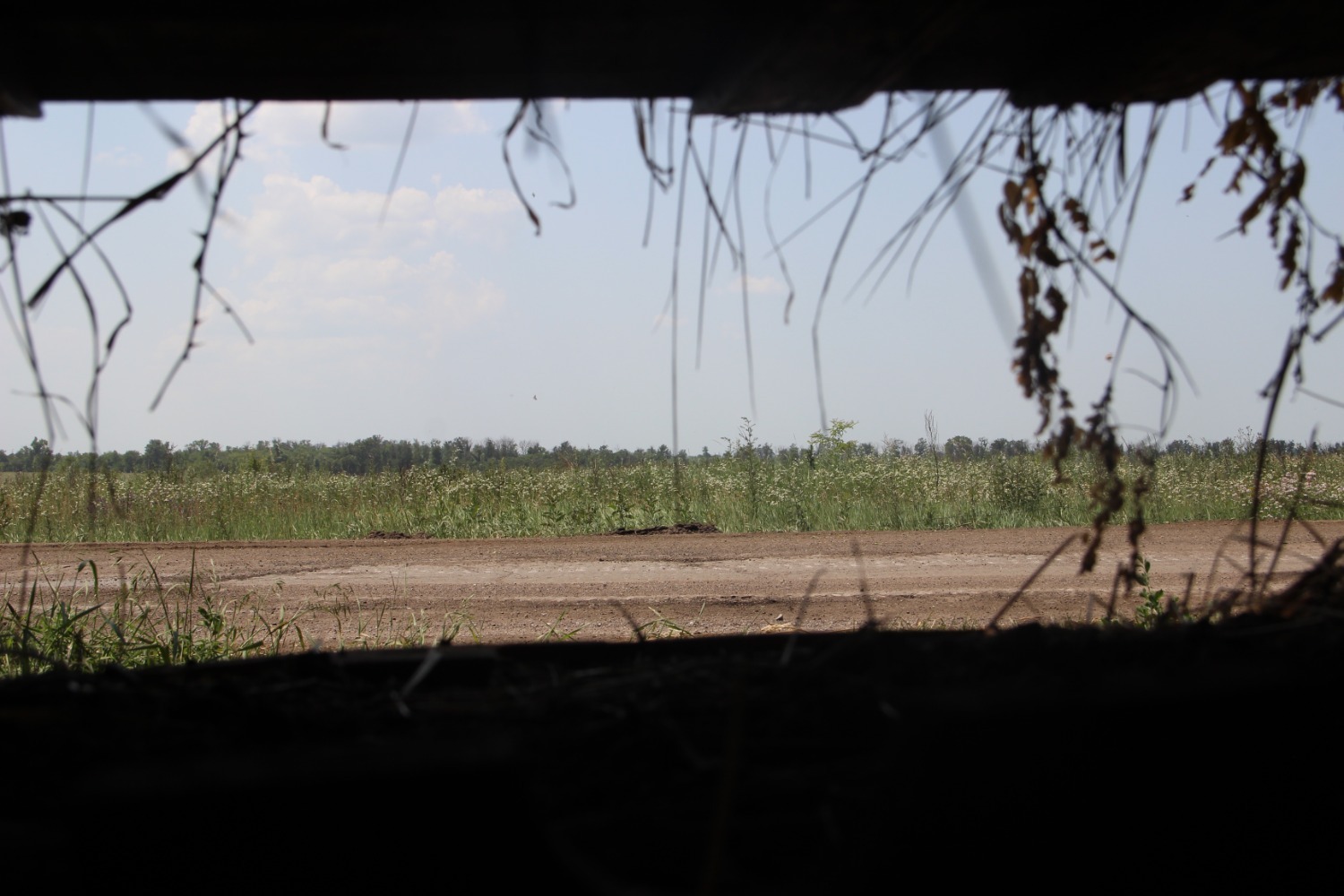 Эдуард Кускарбеков