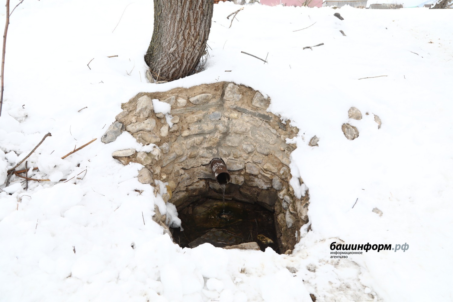 Валерий Шахов ИА «Башинформ»