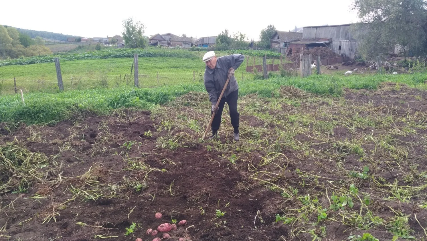 Личный архив Руслана Муслухова