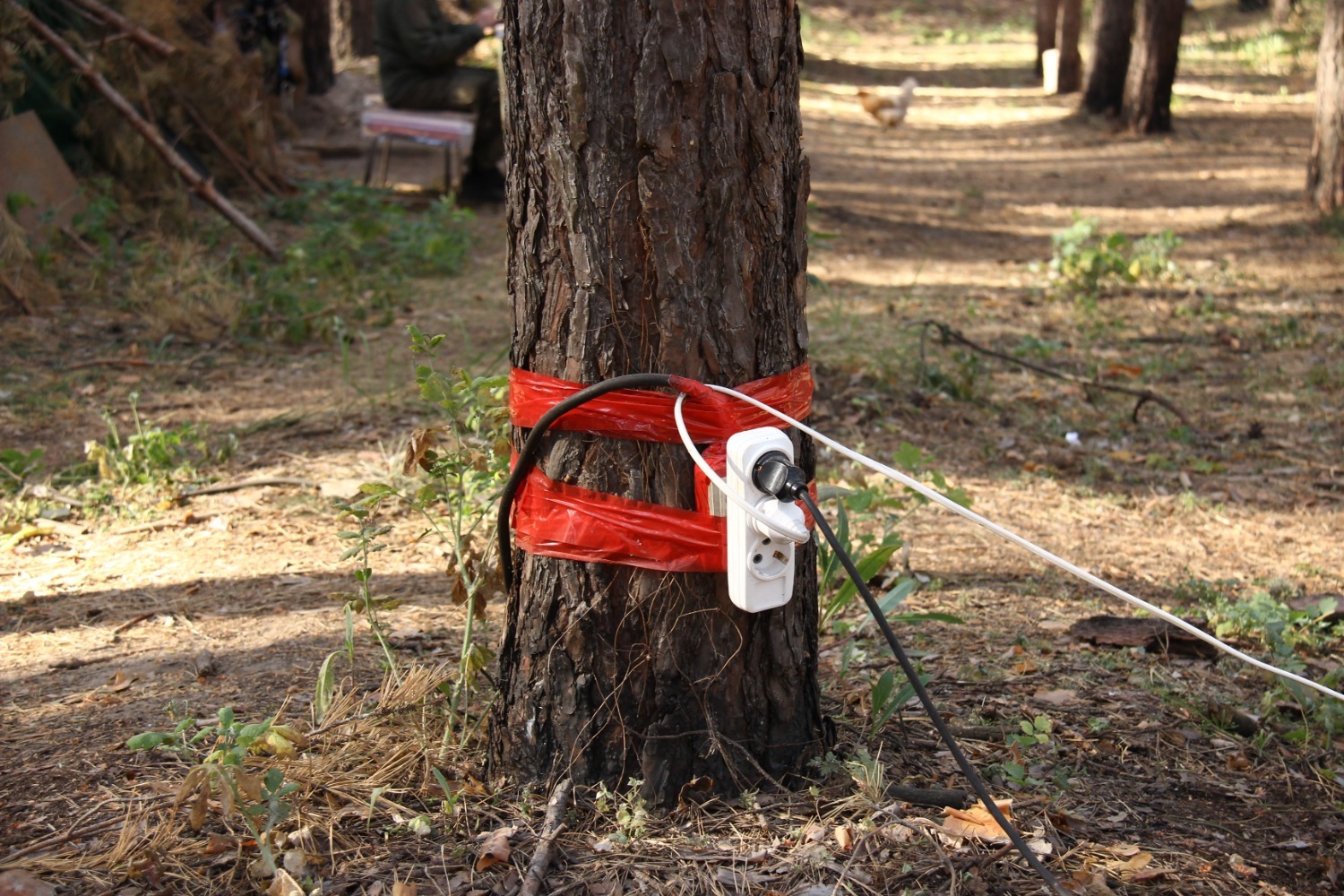 Эдуард Кускарбеков