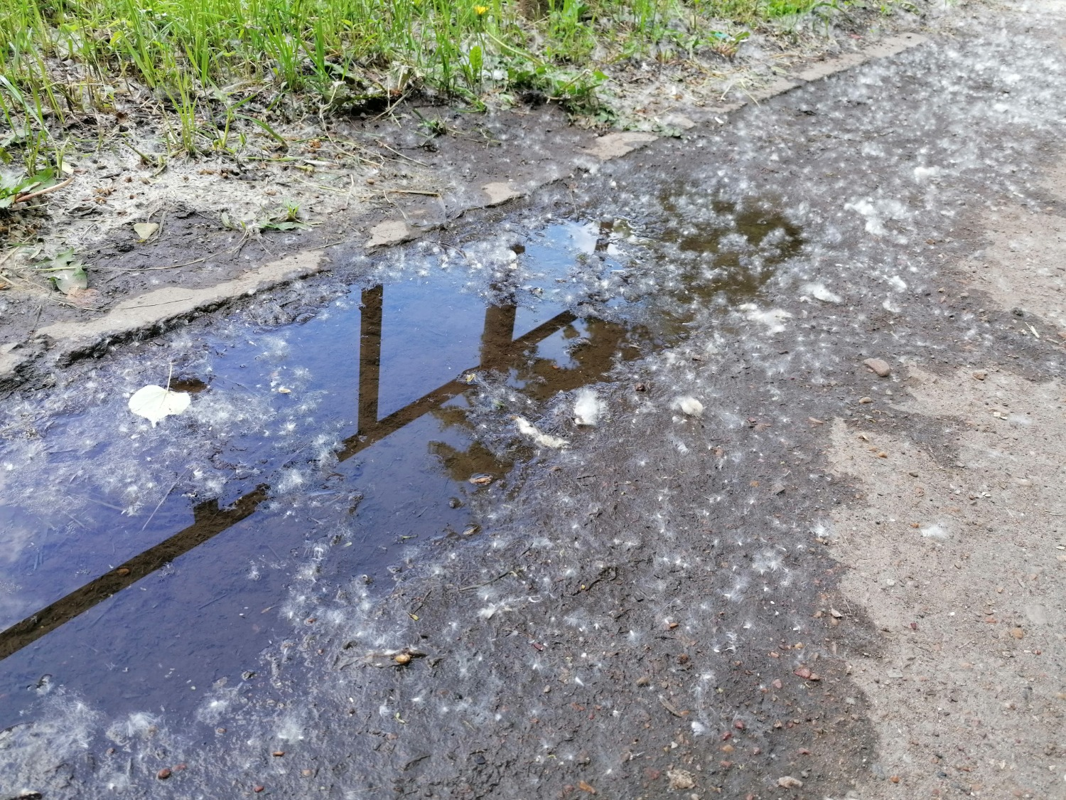 ИА «Башинформ»