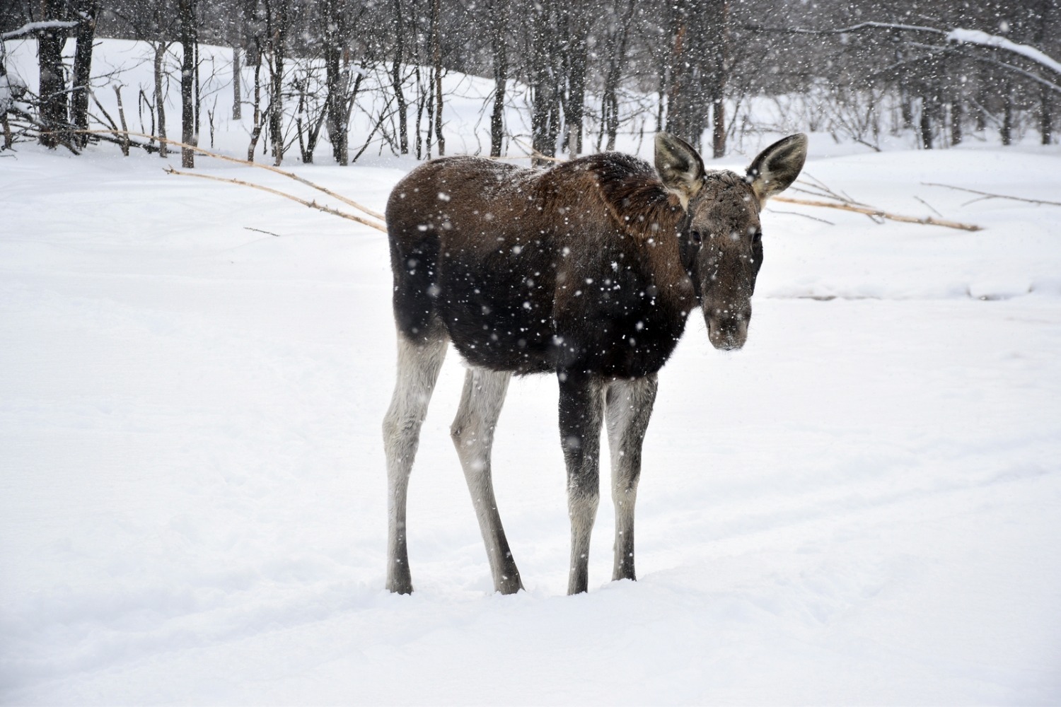 Мирон Доровских ИА «Башинформ»
