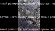 Честный репортаж Мах