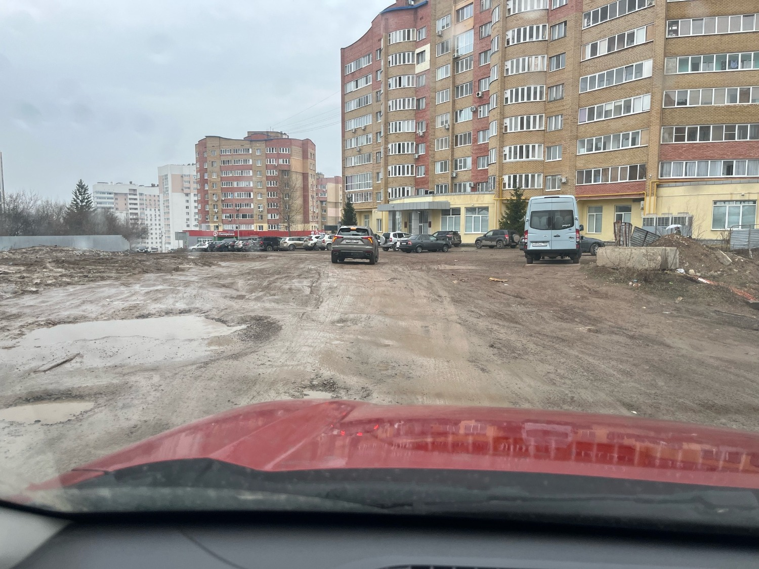 Алена З. страница Радия Хабиров, Vk