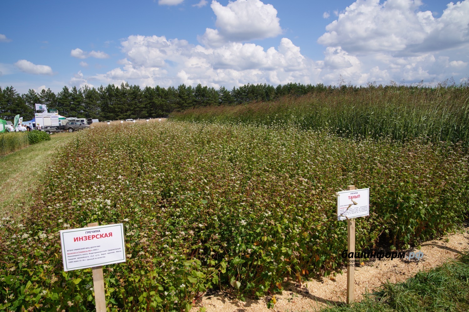 Олег Яровиков архив ИА "Башинформ"