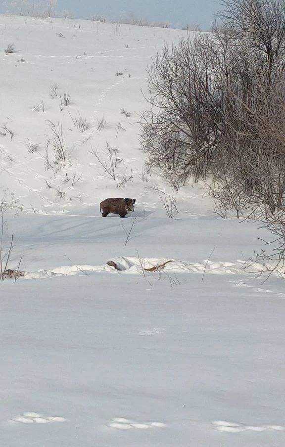 министерство  природопользования и экологии РБ