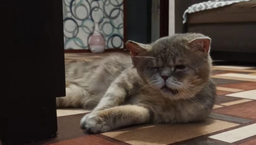 предоставлено Светланой Ильясовой