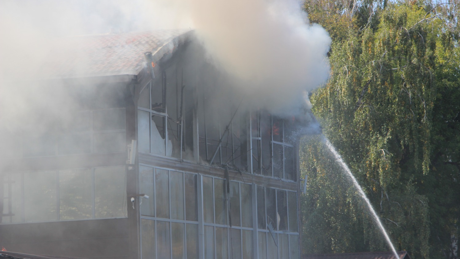 Ксения Калинина