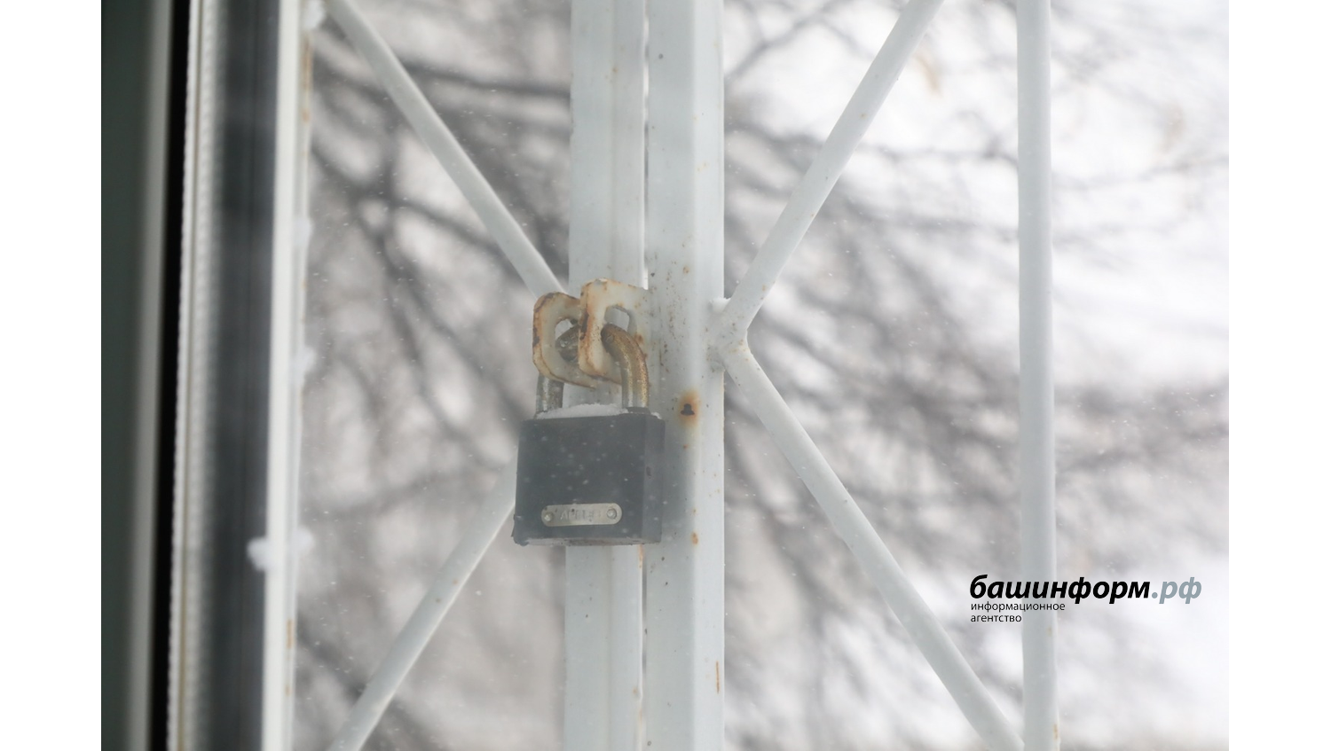 Валерий Шахов ИА Башинформ