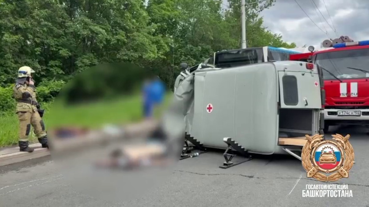 скриншот видео