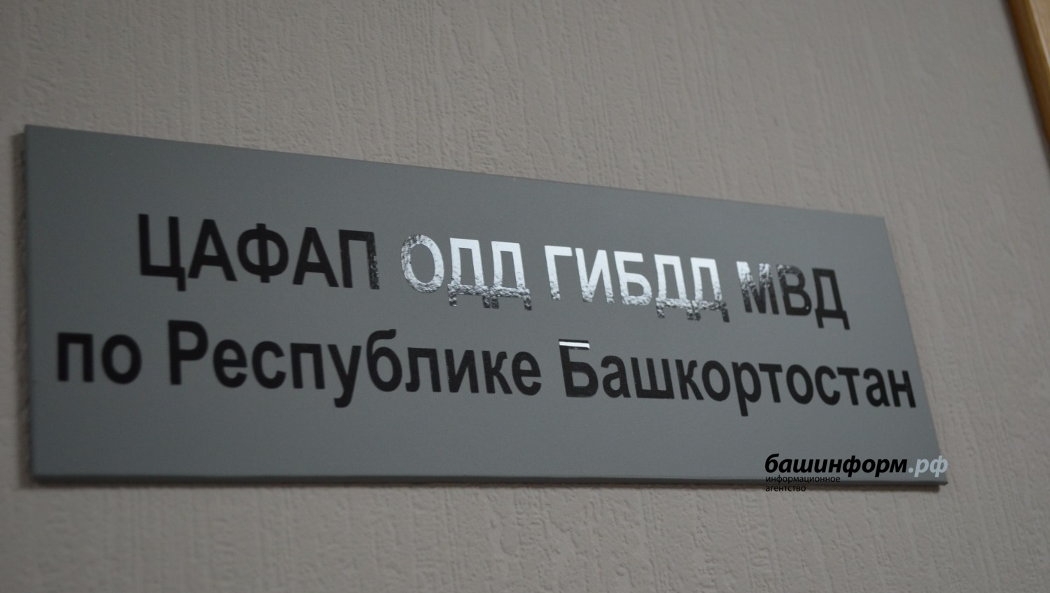 Ксения Калинина ИА Башинформ