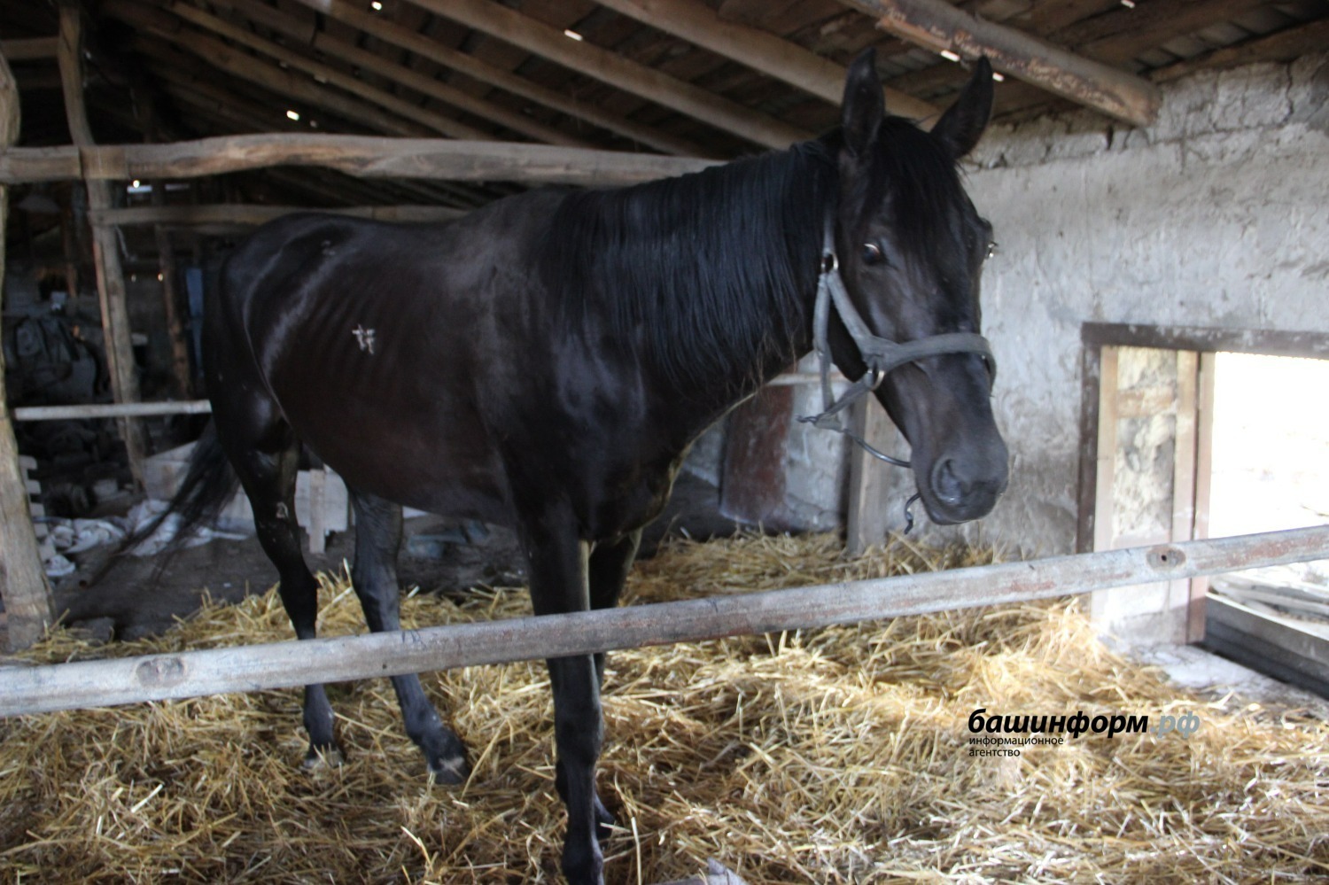Эдуард Кускарбеков