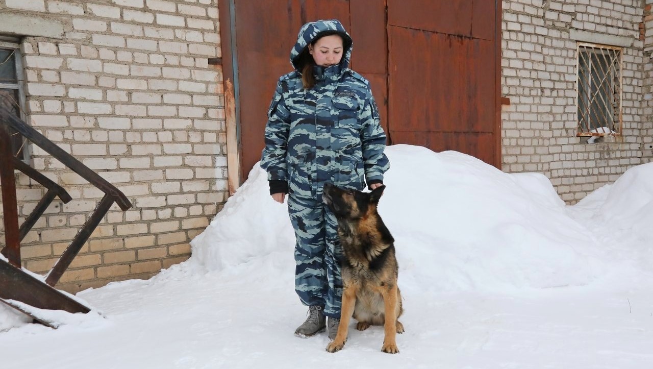 Валерий Шахов