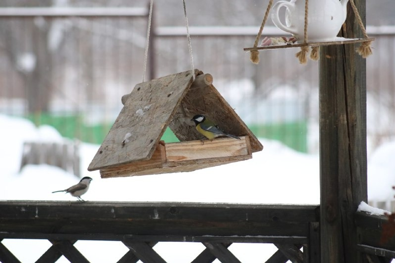 Нацпарк «Башкирия» ТГ-канал