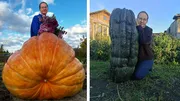 Марина Уфимцева личный архив