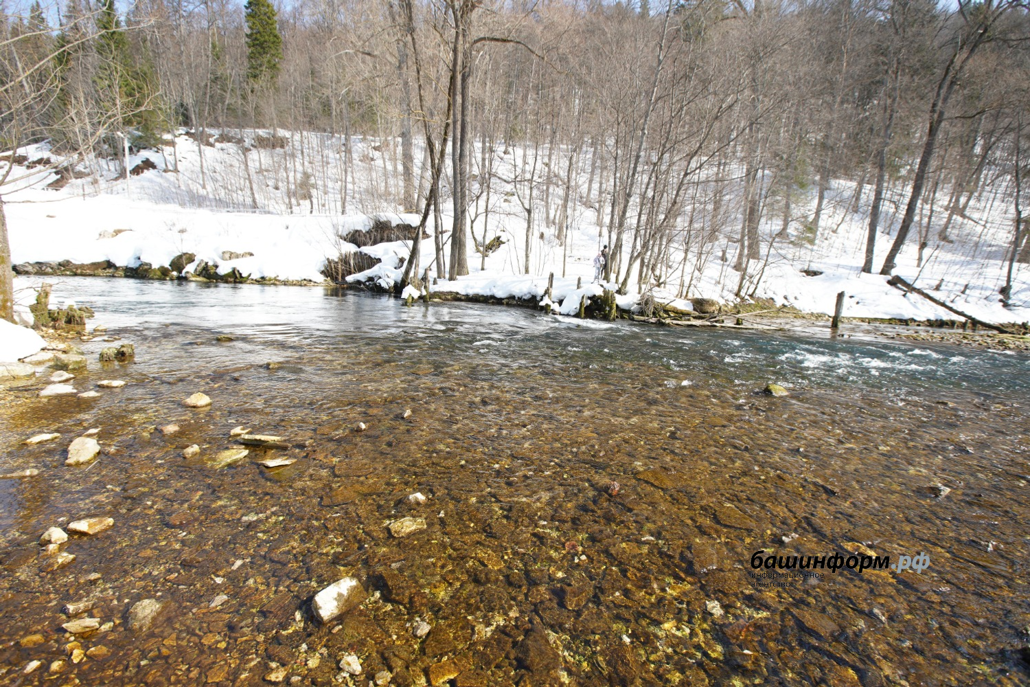 Олег Яровиков ИА "Башкортостан"