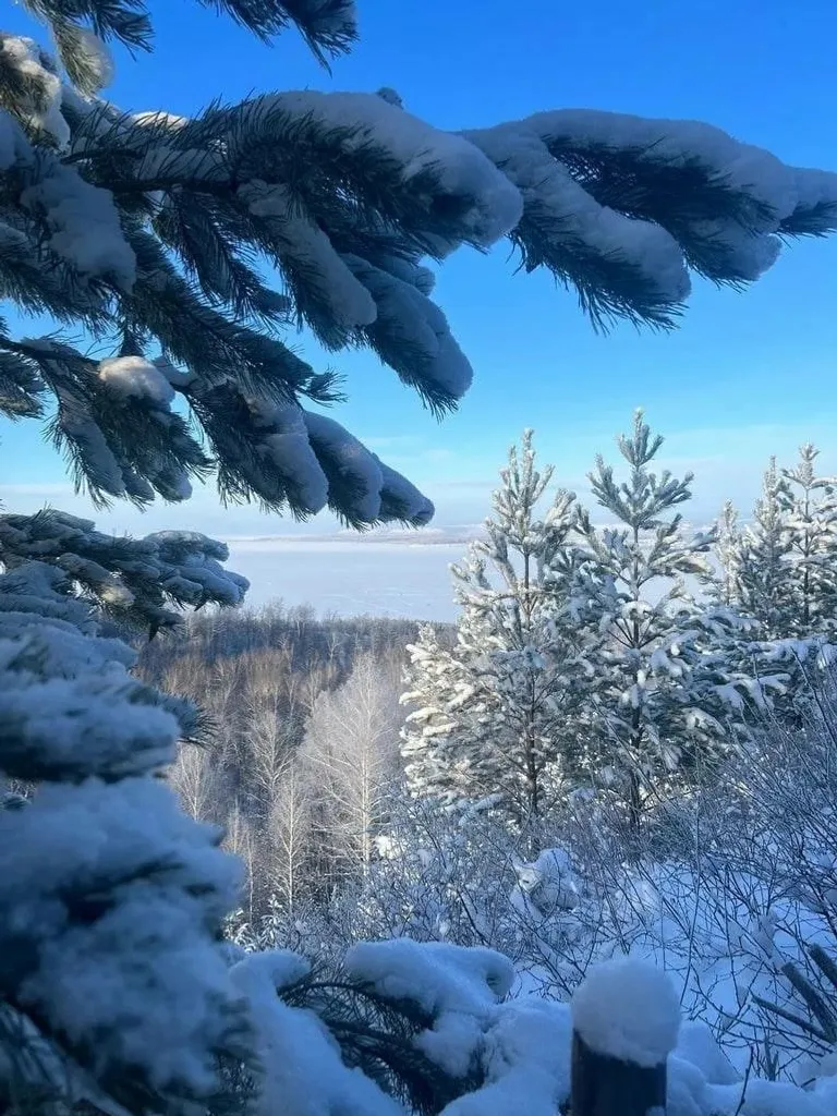 Радий Хабиров телеграм-канал