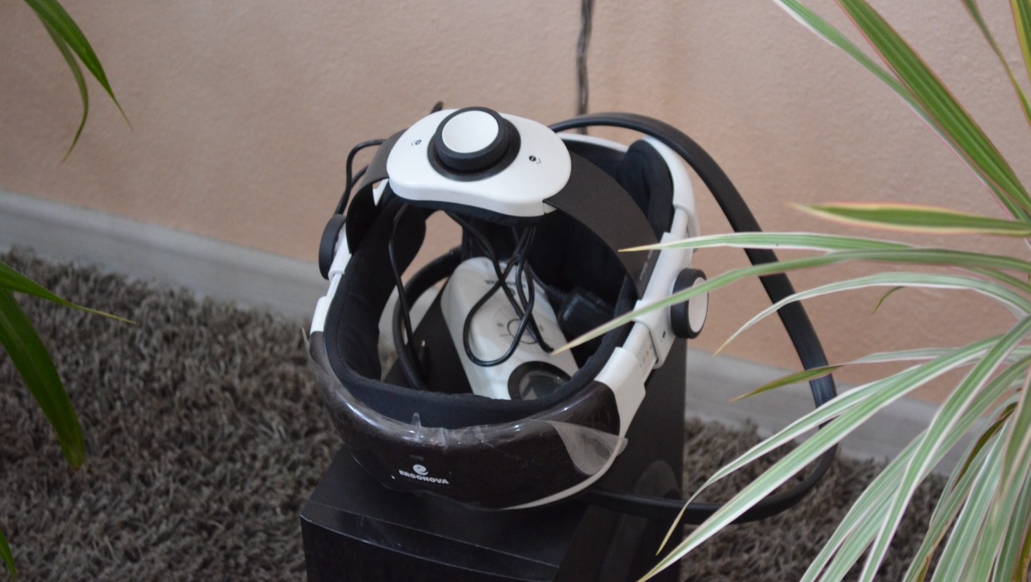 Ксения Калинина