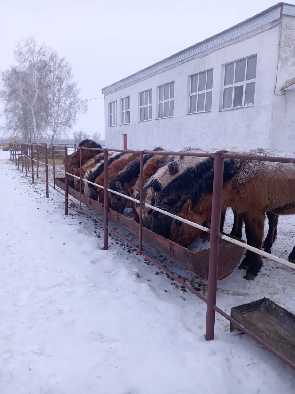 минсельхоз РБ