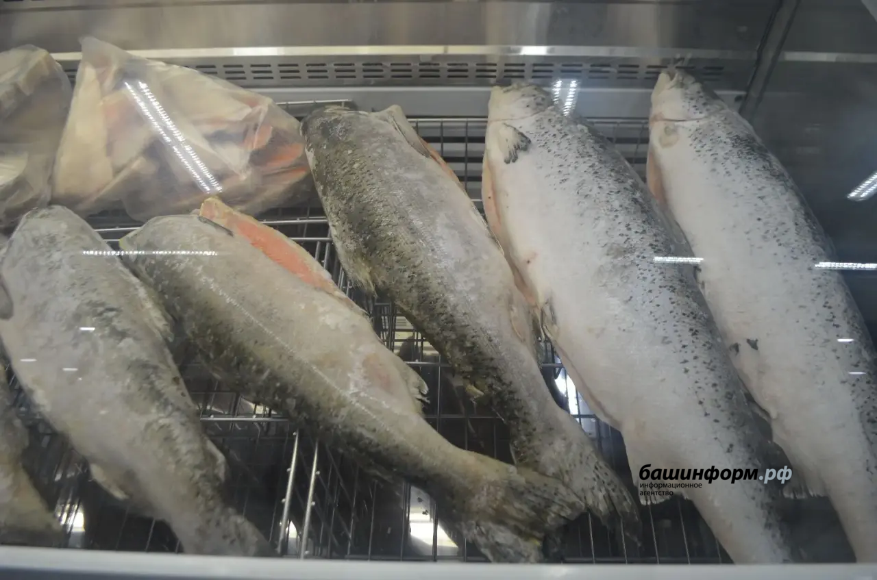 Ксения Калинина ИА «Башинформ»