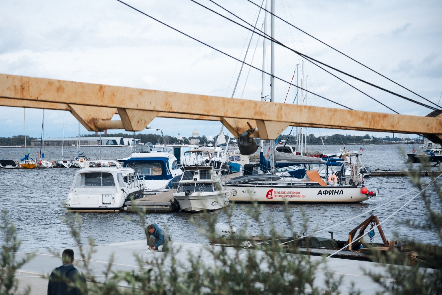 Марк Скворцов  главного специалиста ГКУ «Дирекция ООПТ Санкт-Петербурга»