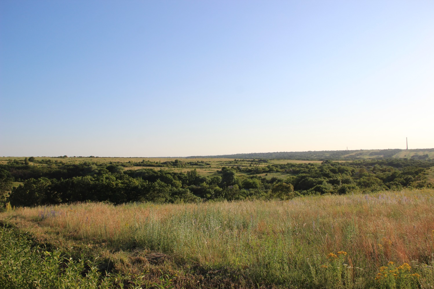 Эдуард Кускарбеков