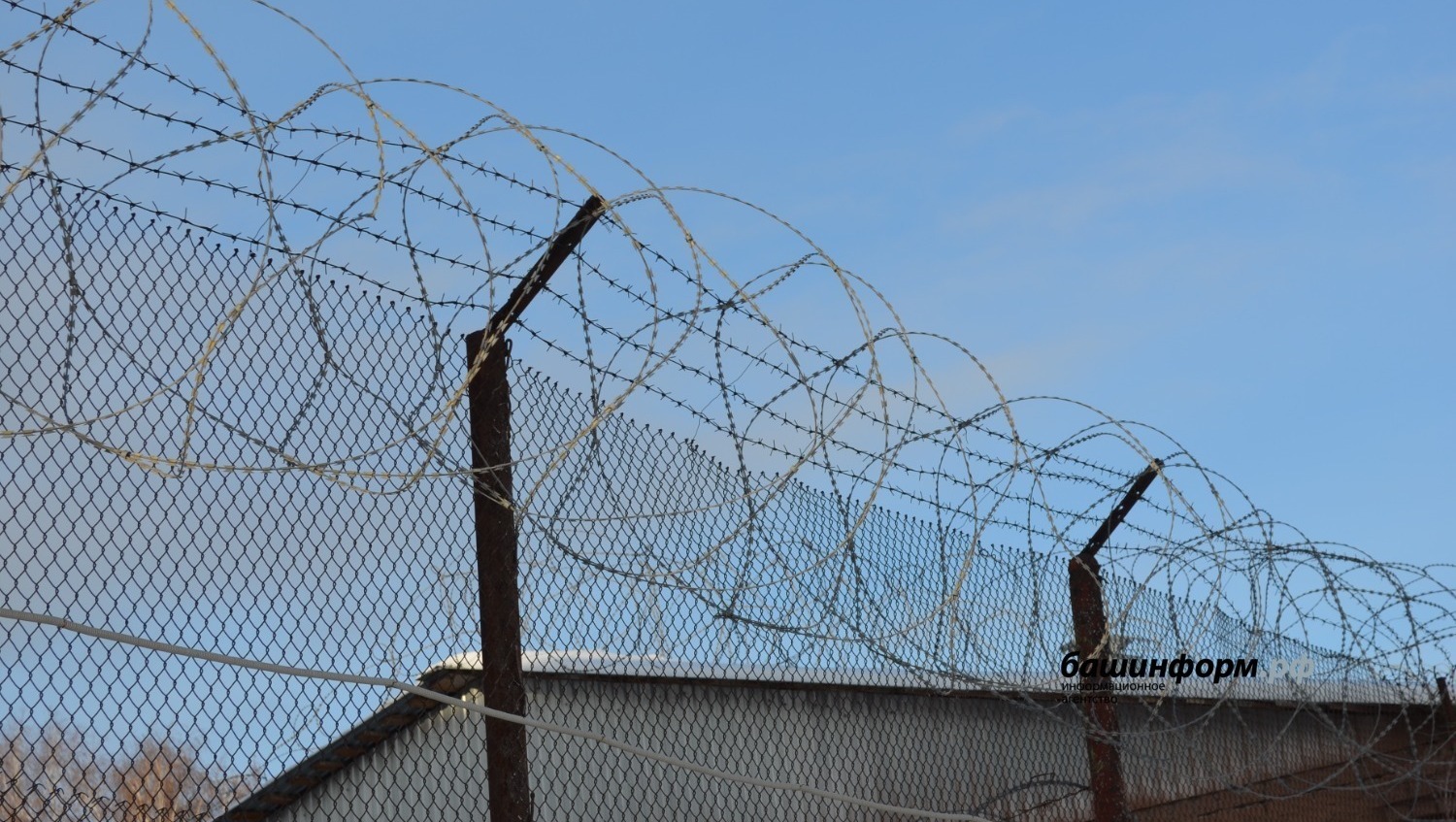 Ксения Калинина