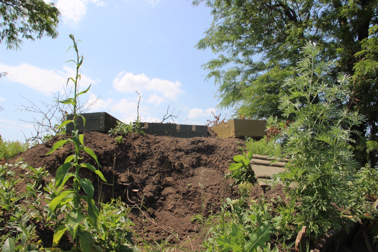 Эдуард Кускарбеков