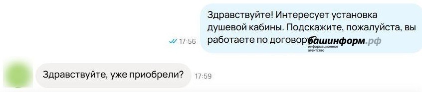 скриншот переписки «Башинформ»